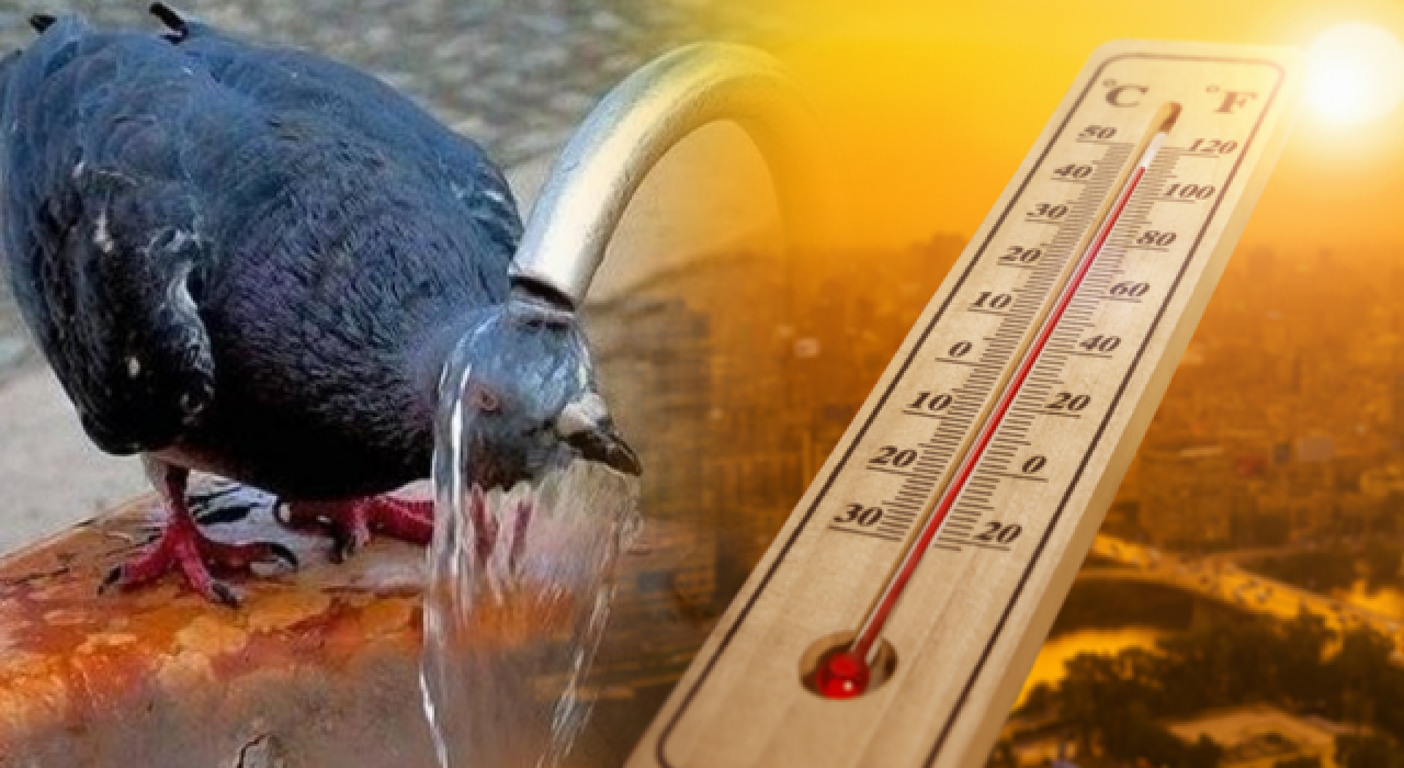 Meteoroloji sıcak çarpmasına karşı uyardı; İstanbul'da nem oranı yüzde 80'in üzerine çıkacak