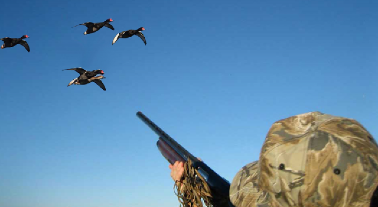 Nesli tehlikedeki kuşlar için flaş av kararı!