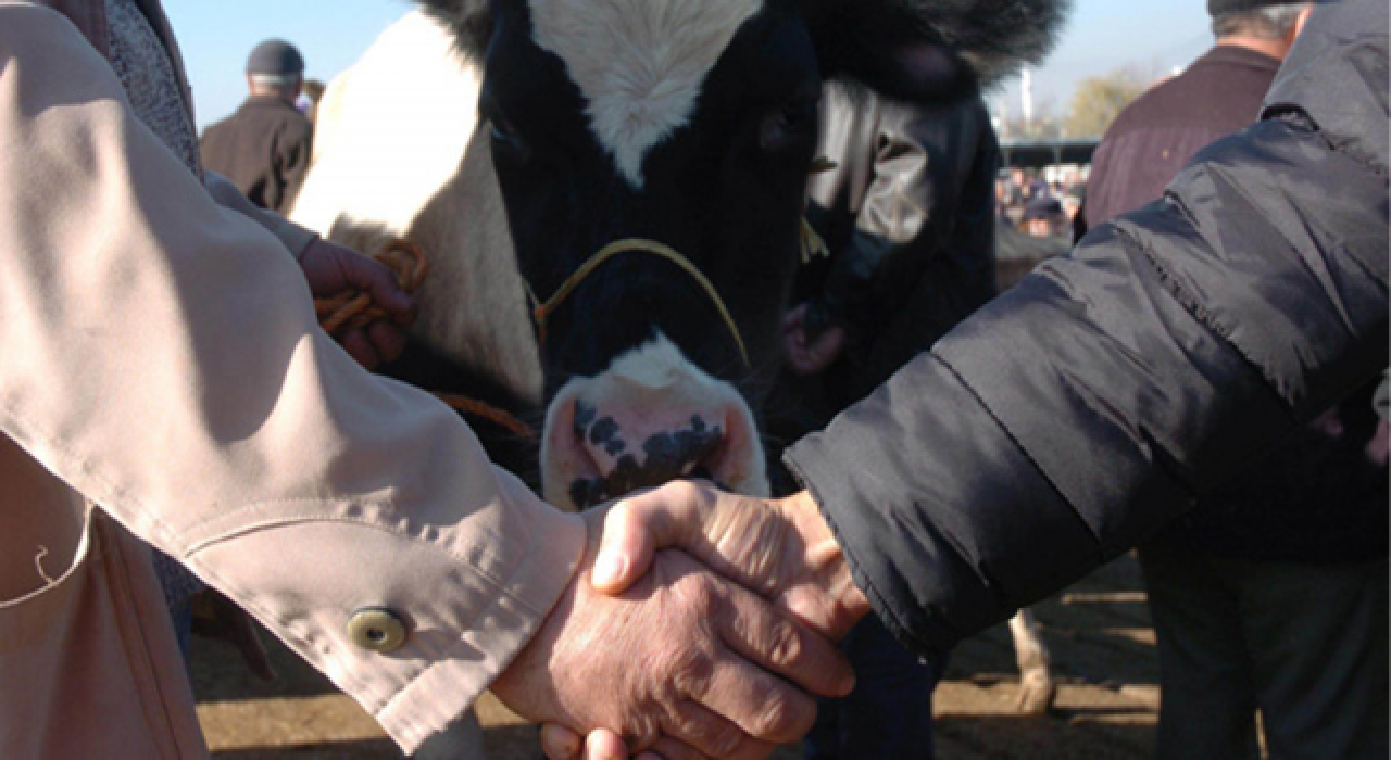 Normalleşmeyle kurban pazarlığında tokalaşma devri geri geldi