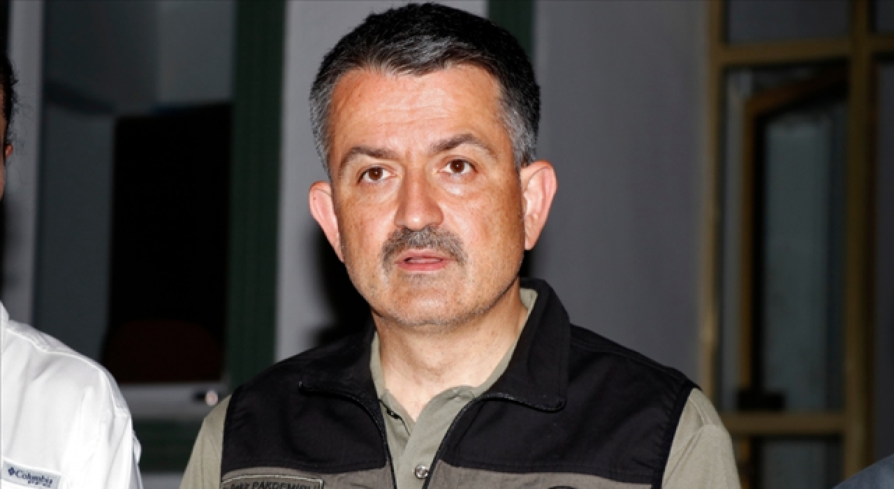 Bakan Pakdemirli: 44 ilde 197 orman yangını çıktı, 185'i kontrol altına alındı