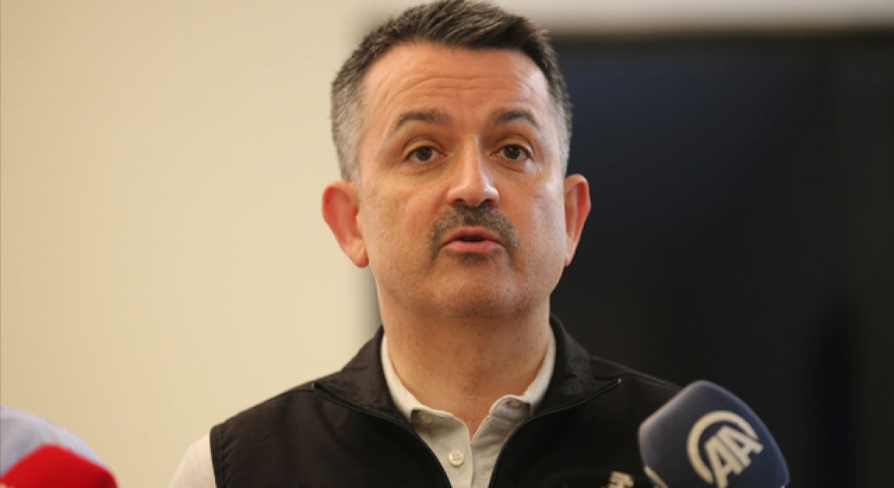 Bakan Pakdemirli: Şu anda yerleşim yerlerini tehdit eden bir yangımız yok