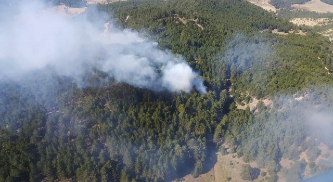 Denizli'de ormanlık alanda yangın çıktı