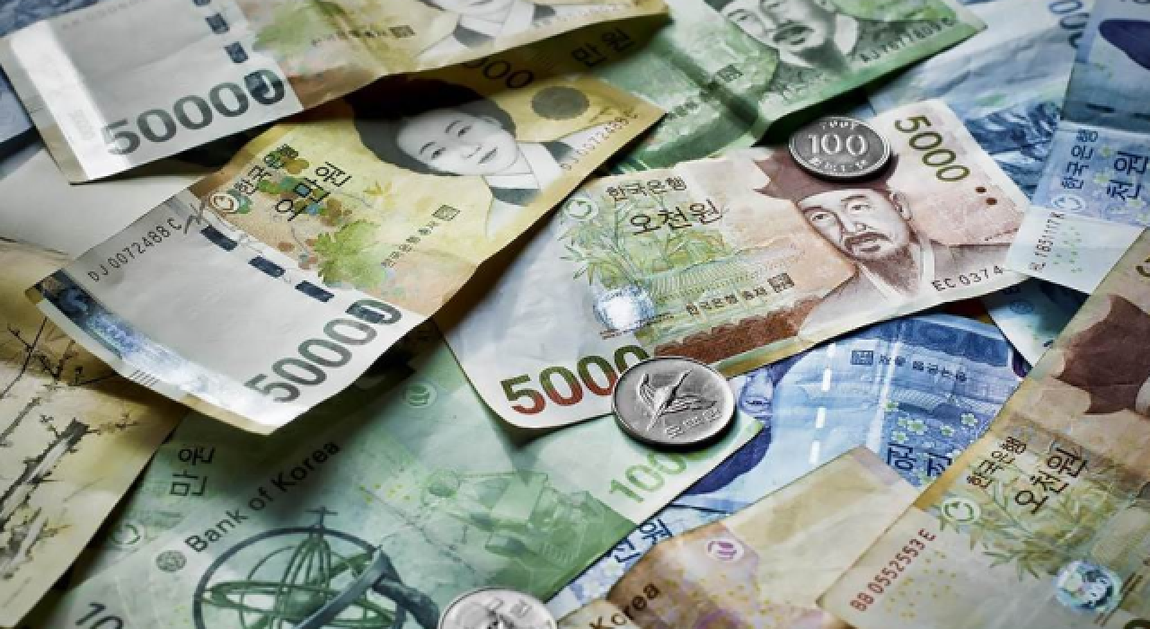 Güney Kore Wonu, Merkez Bankası'nın döviz listesine eklendi
