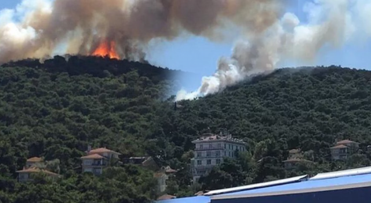 Heybeliada'da orman yangını!