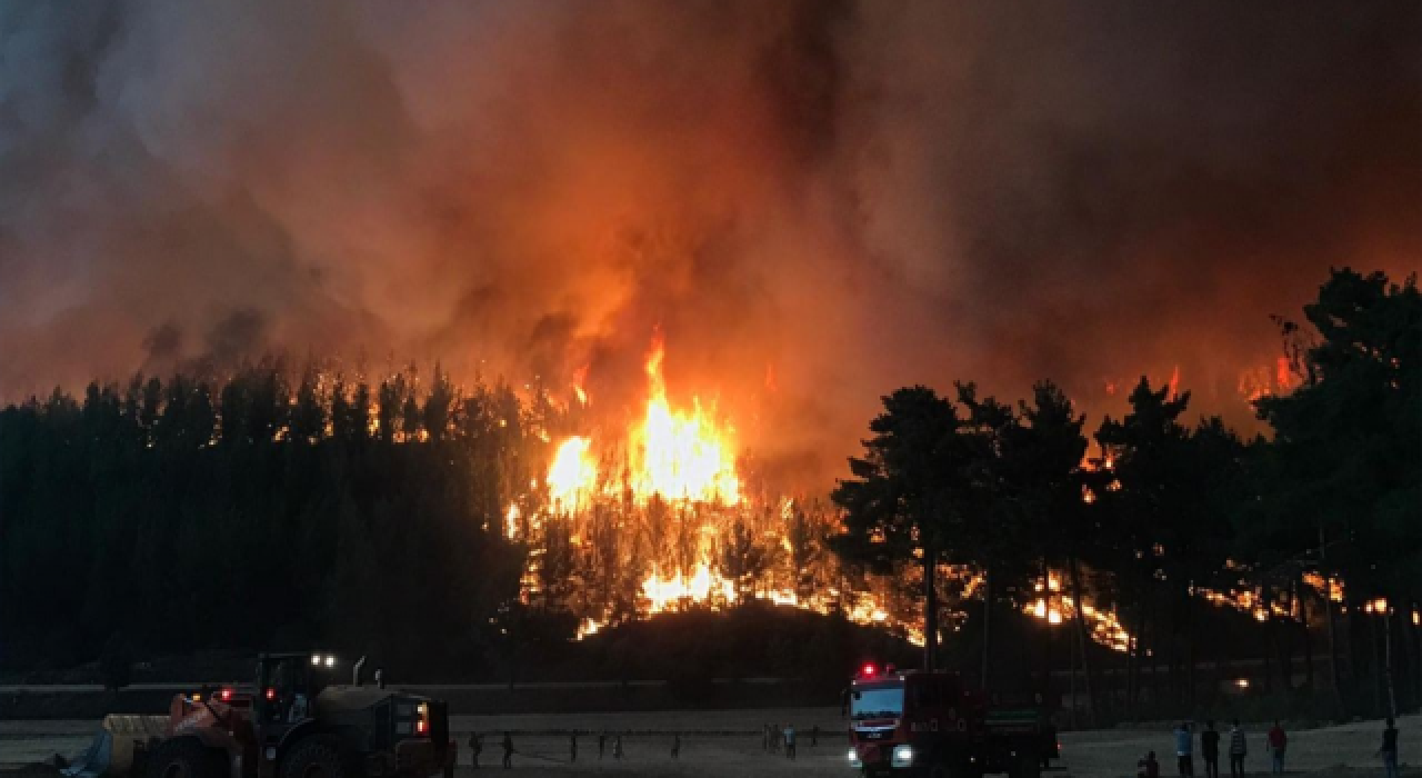 Bodrum Belediye Başkanı, Kissebükü'ndeki son durumu açıkladı