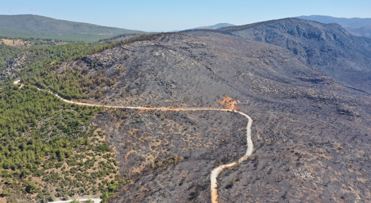 Milas'ta çıkan yangın 11 gün sonra kontrol altına alındı
