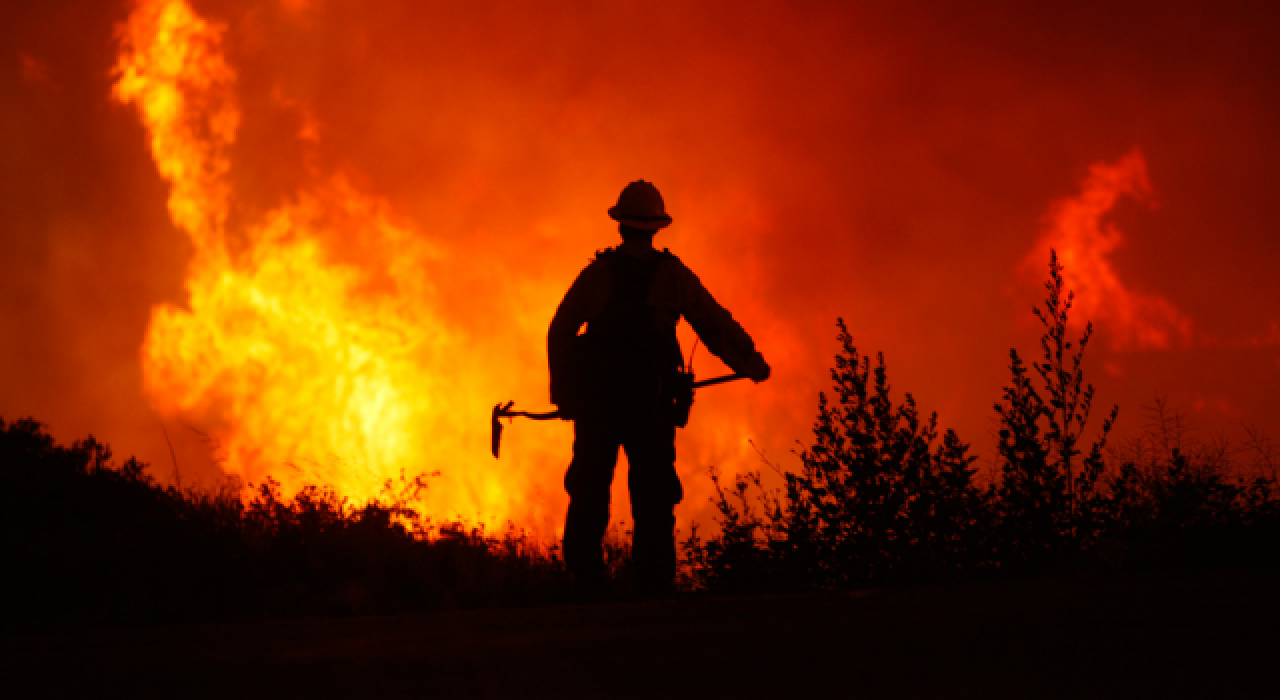 Orman yangınları neden artıyor, hangi yıkıcı sonuçları beraberinde getiriyor?