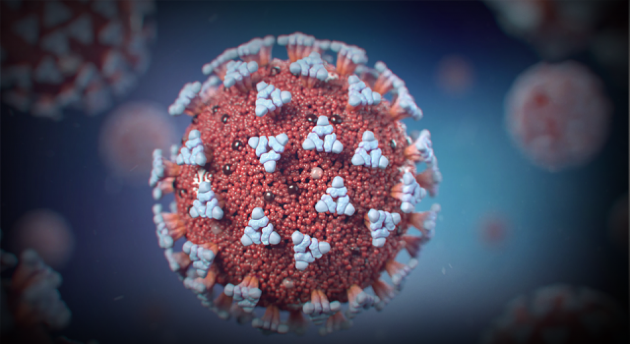 Rapor: "Virüs biyolojik silah olarak geliştirilmedi"