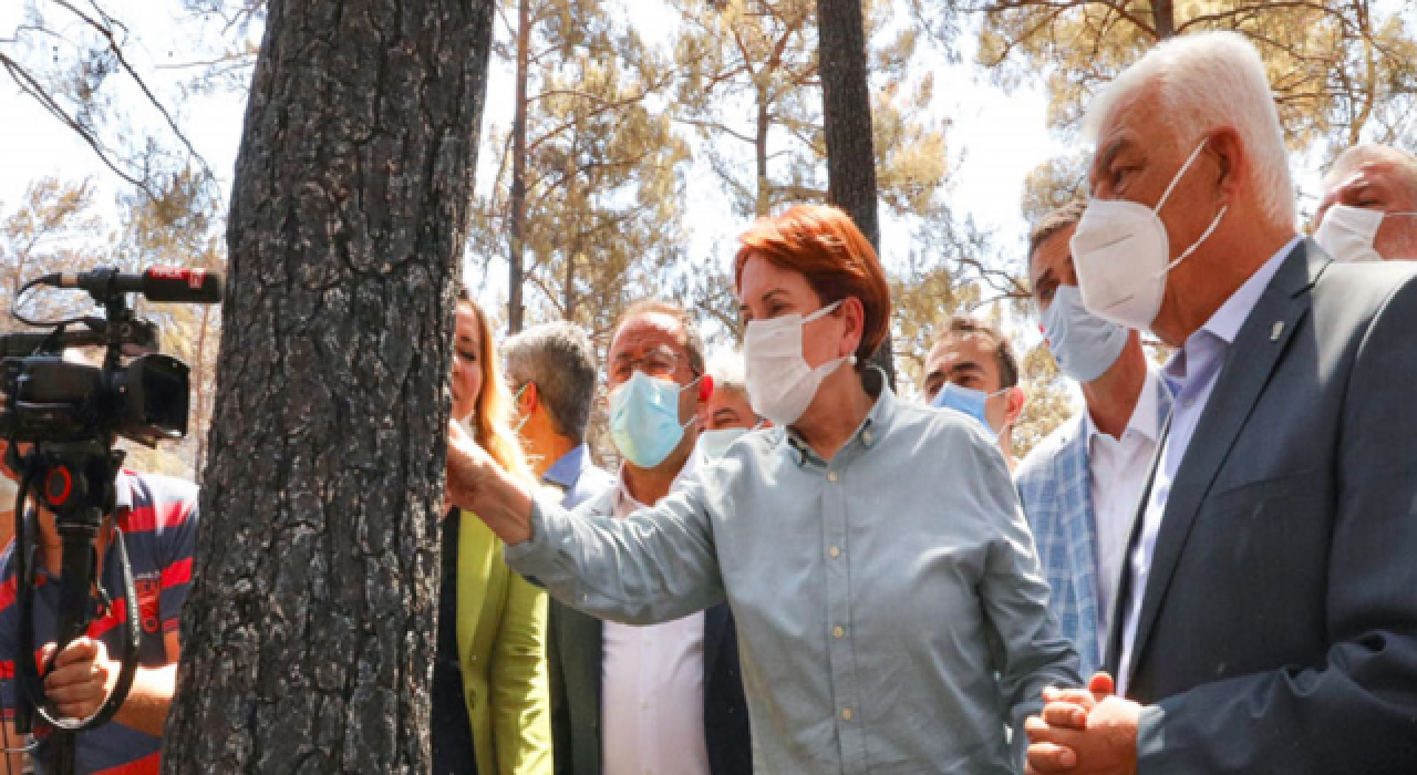 "Yangından zarar gören ağaçlarımızın yerine beton dikilmesine fırsat vermeyeceğim"