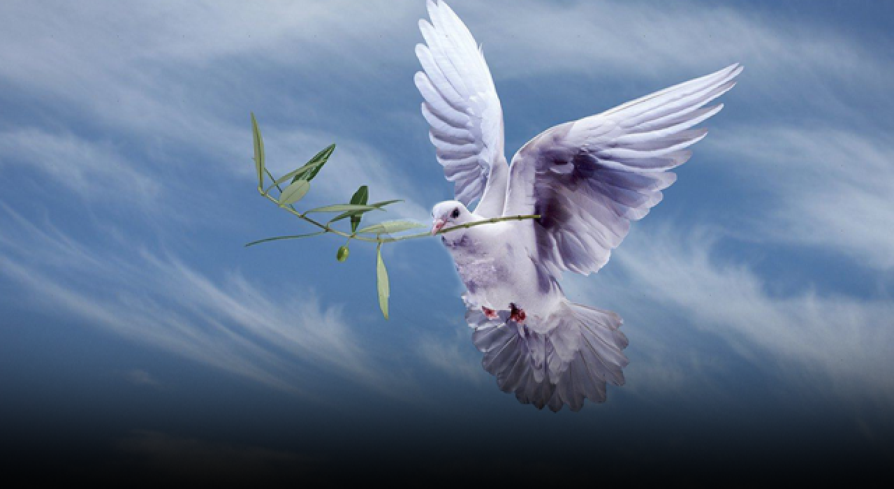 1 Eylül Dünya Barış Günü'nün          hikayesi nedir?