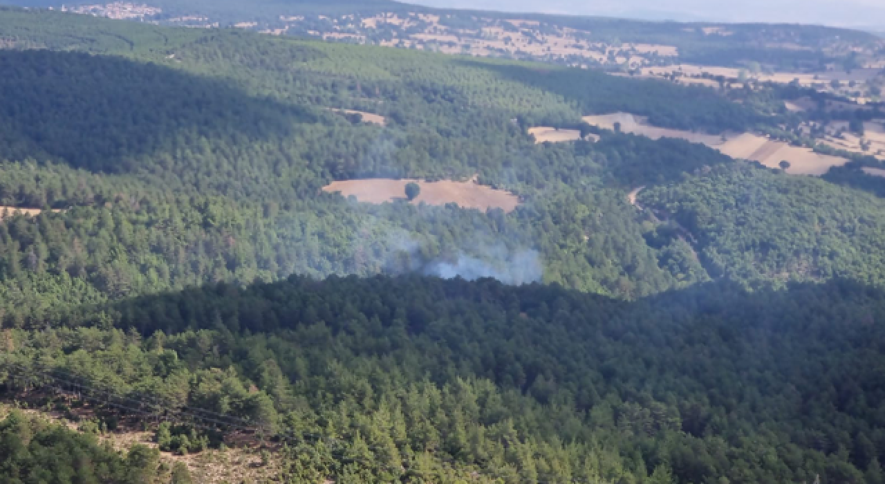Balıkesir İvrindi'de orman yangını!
