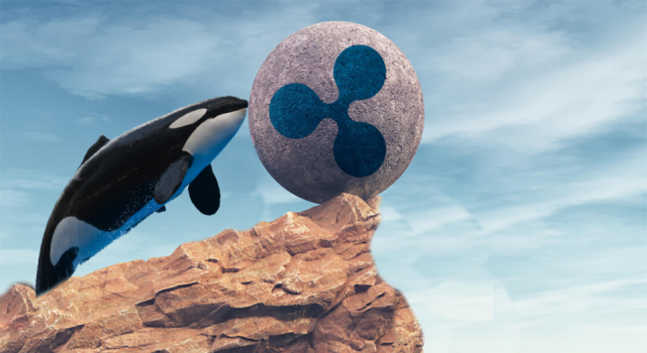 Balinalar Ripple’dan ayrılıyor! “XRP bu durumdan nasıl etkilenecek?”
