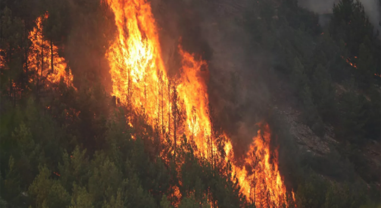 Bingöl’deki orman yangını 5'inci günde: Alevler ilçe merkezine ilerliyor!