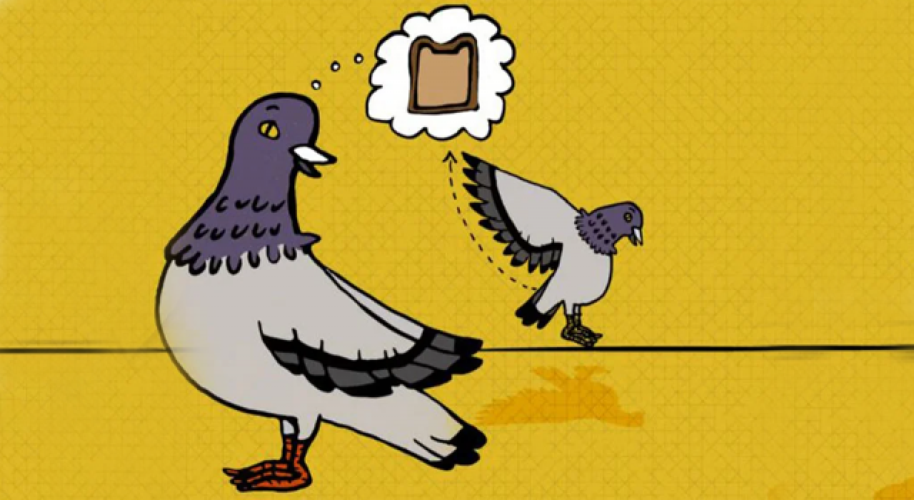 Hurafelerin ortaya çıkışına dair çok net fikir veren "Güvercin hurafesi" deneyi
