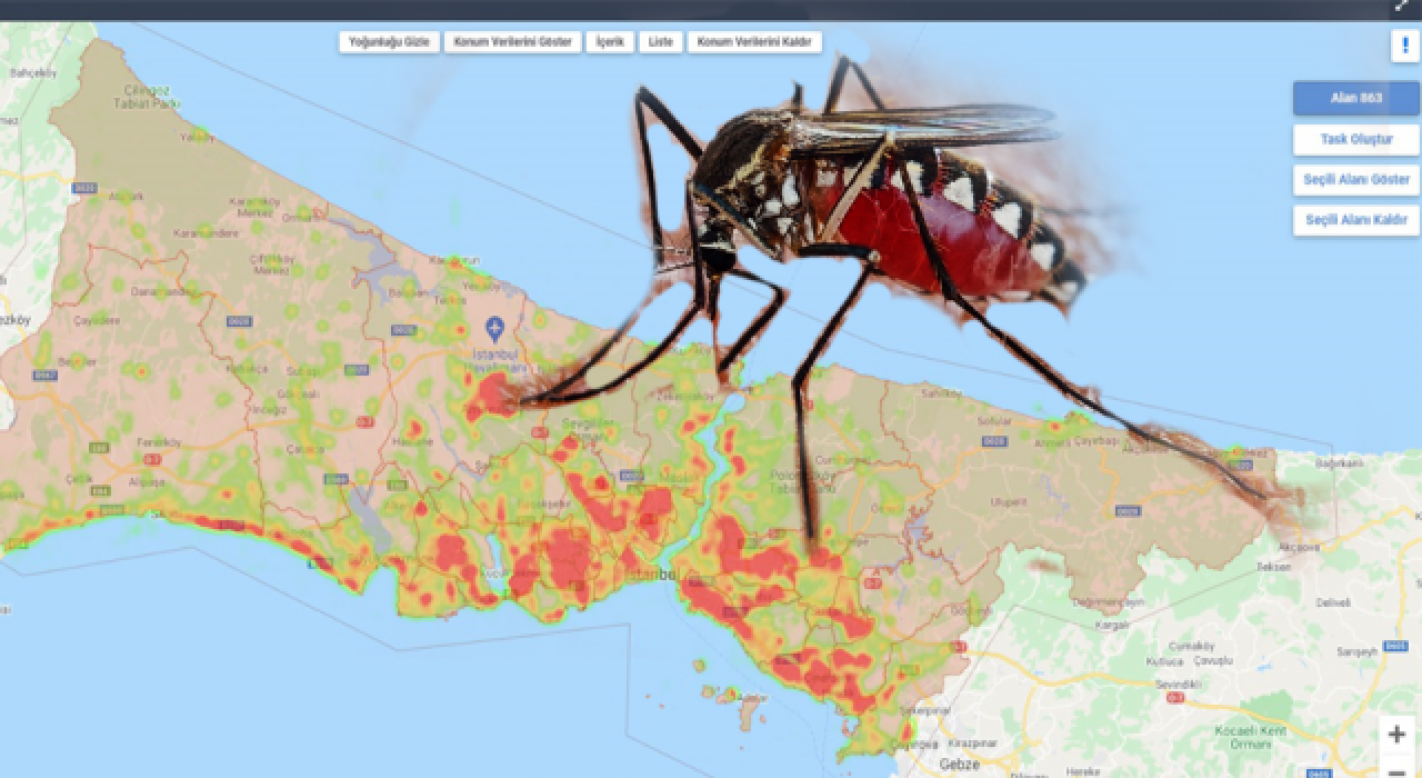 İstanbul'un sivrisinek üreme haritası çıkarıldı: 193 bin aktif nokta var