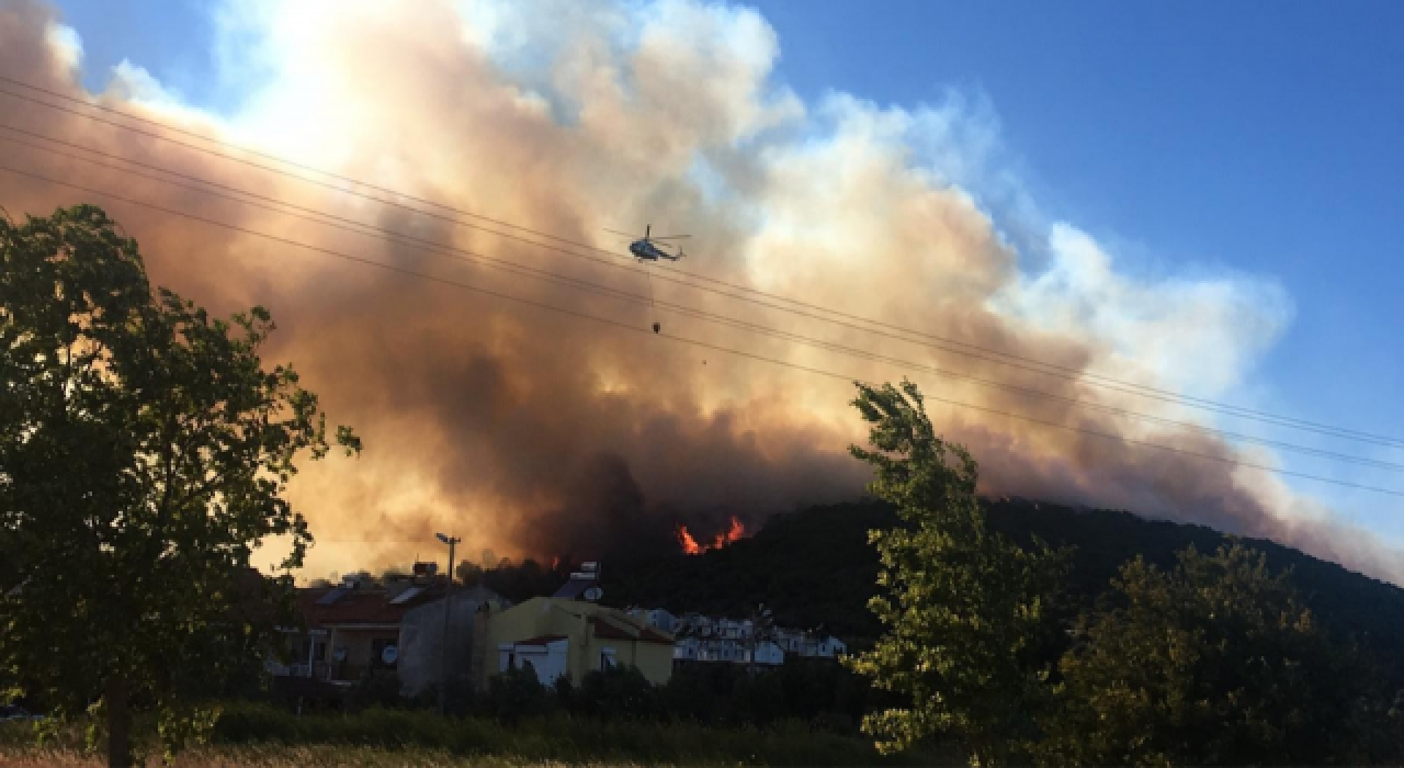 İzmir Dikili'de orman yangını