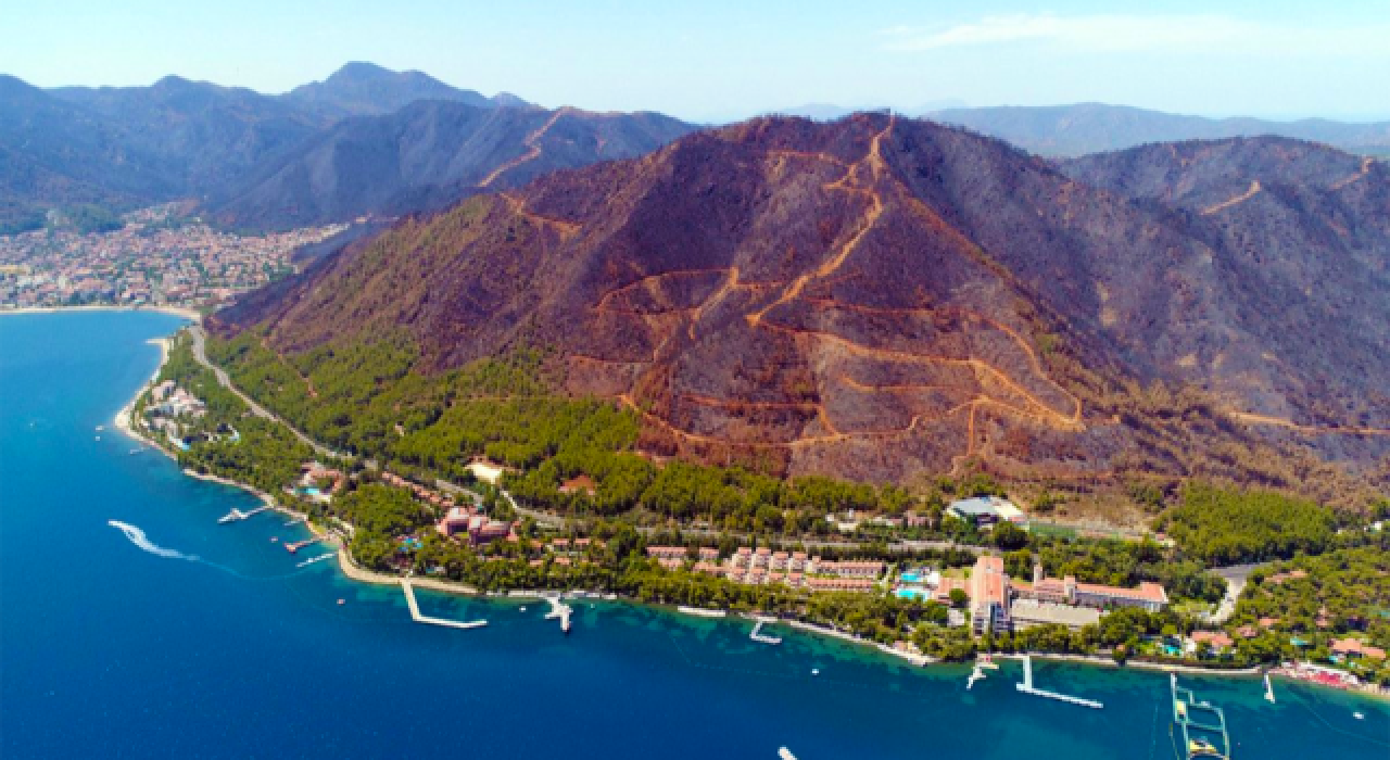 Muğla'da yanan ormanlar ranta açıldı!