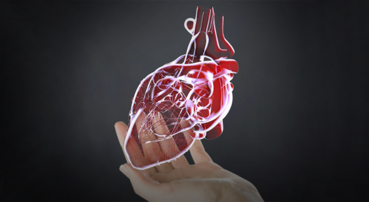 Tıpta sanal kalp dönemi! Tedavilerdeki hataları azaltmayı hedefliyor