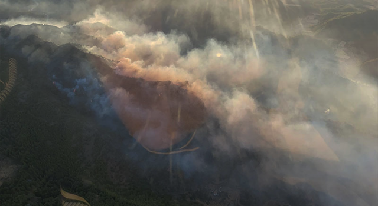 Dalaman'da gece çıkan orman yangını kontrol altına alındı