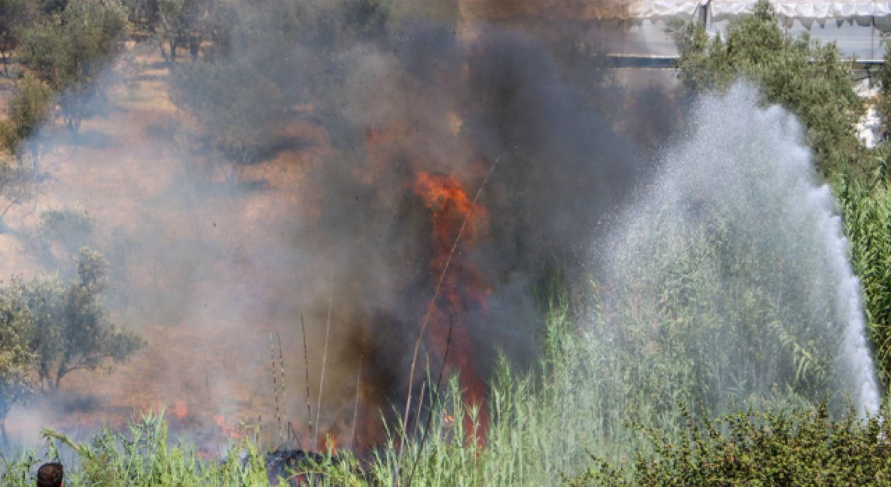 İzmir'de otluk alanda çıkan yangın ormana sıçradı