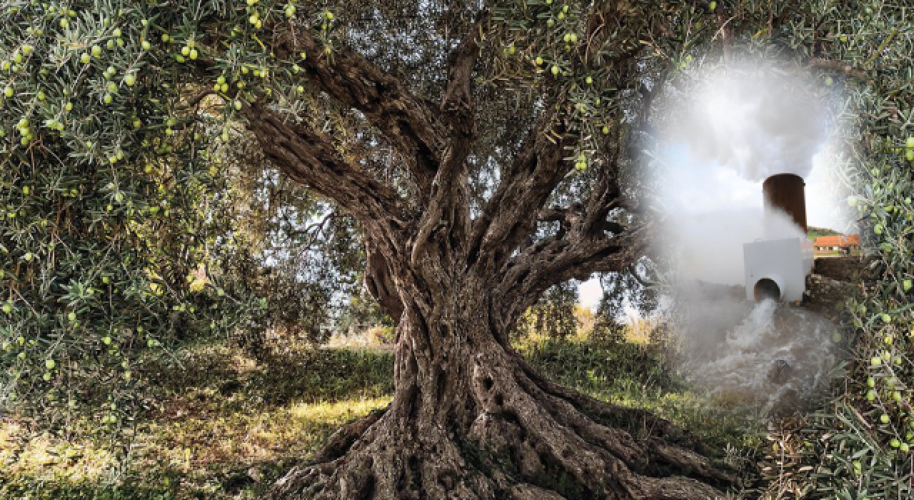 Son torba yasaya eklendi; zeytinliklere jeotermal sondaj kuyuları açılabilecek