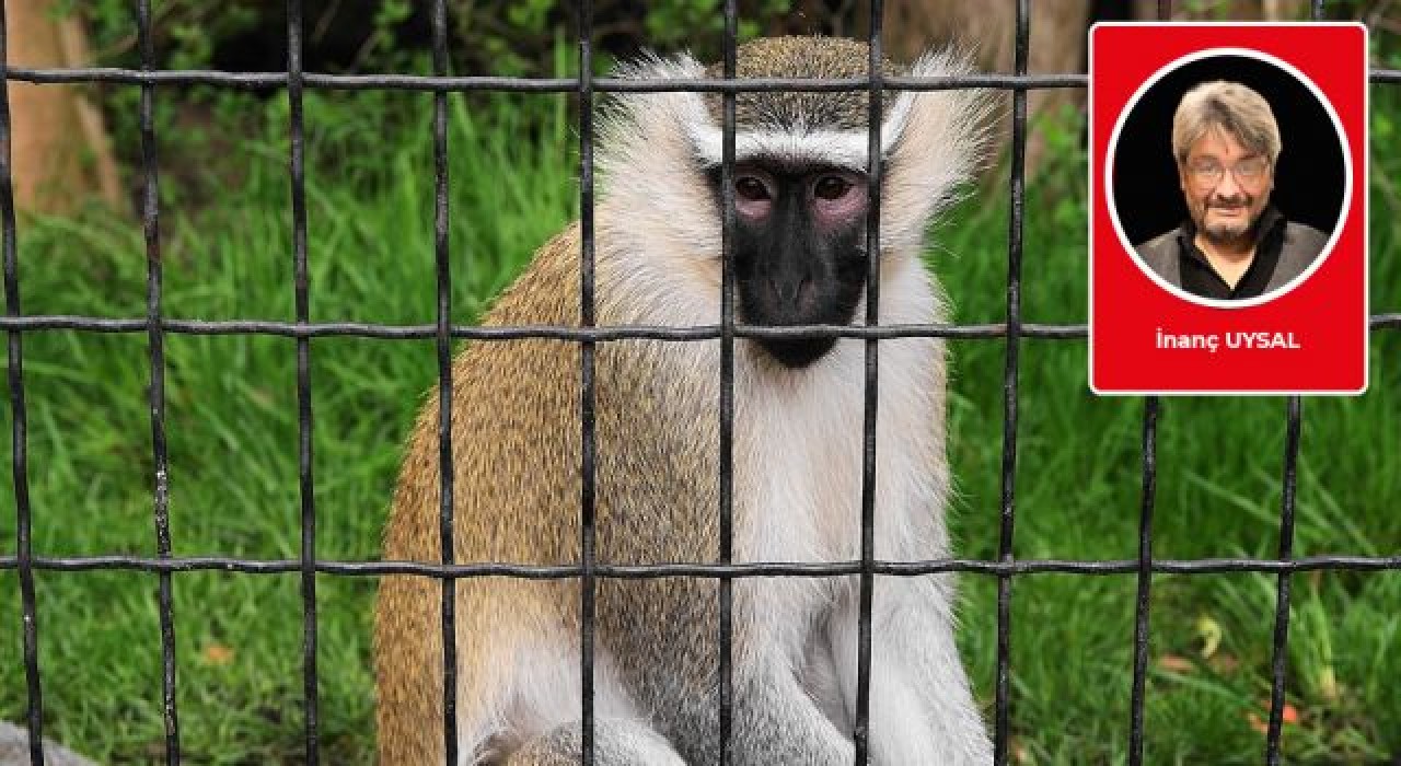 İnanç Uysal yazdı: Nasıl idare ediliyoruz?