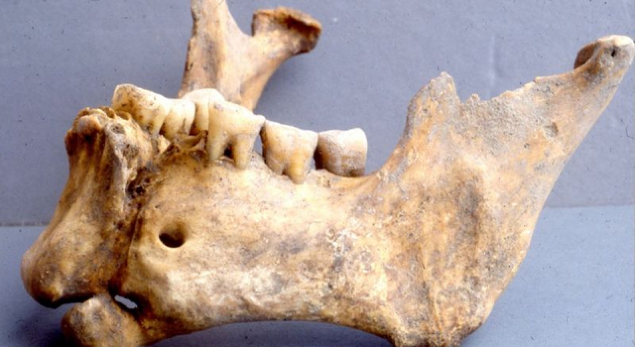 Osmanlıların kellesini aldığı Bizans savaşçısının çenesi altınla dikilmiş