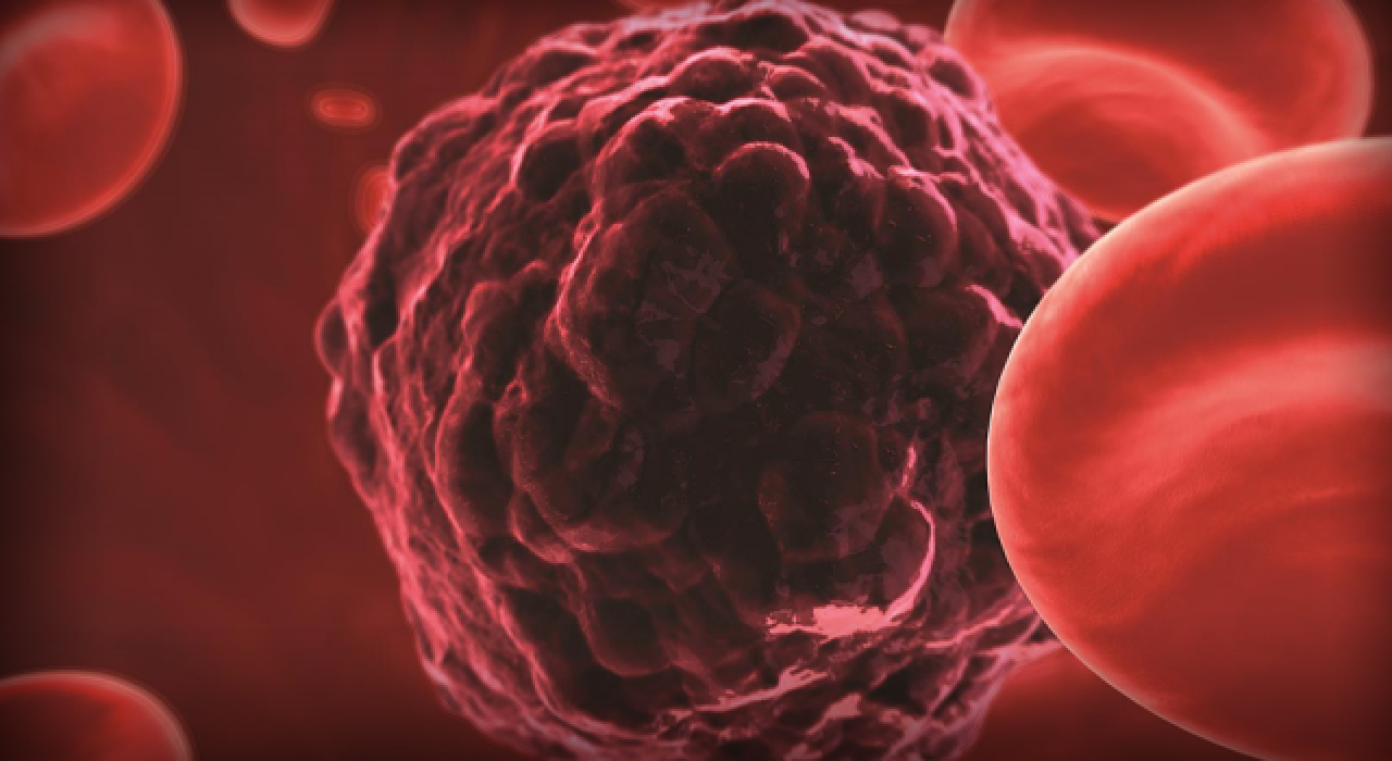 Kansere ve yaşlanmaya çare olacak canlı robotlar üretildi