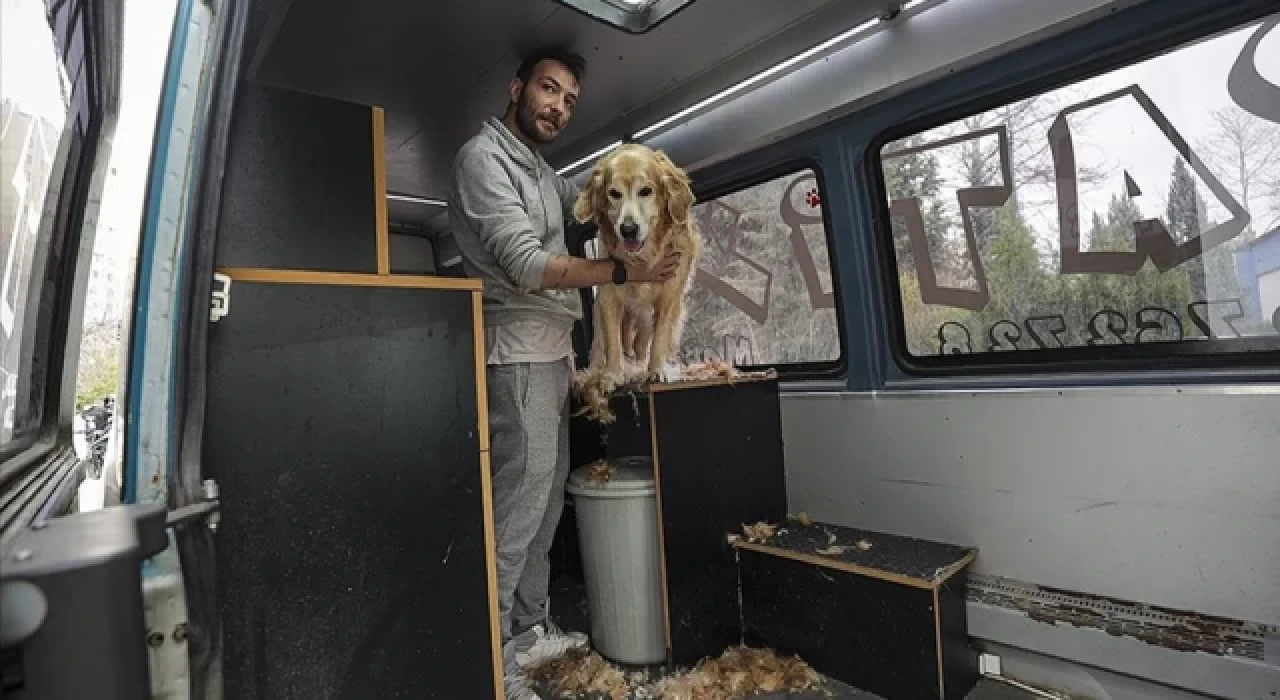 Pet kuaförüne dönüştürdüğü minibüsünde minik patileri tıraş ediyor