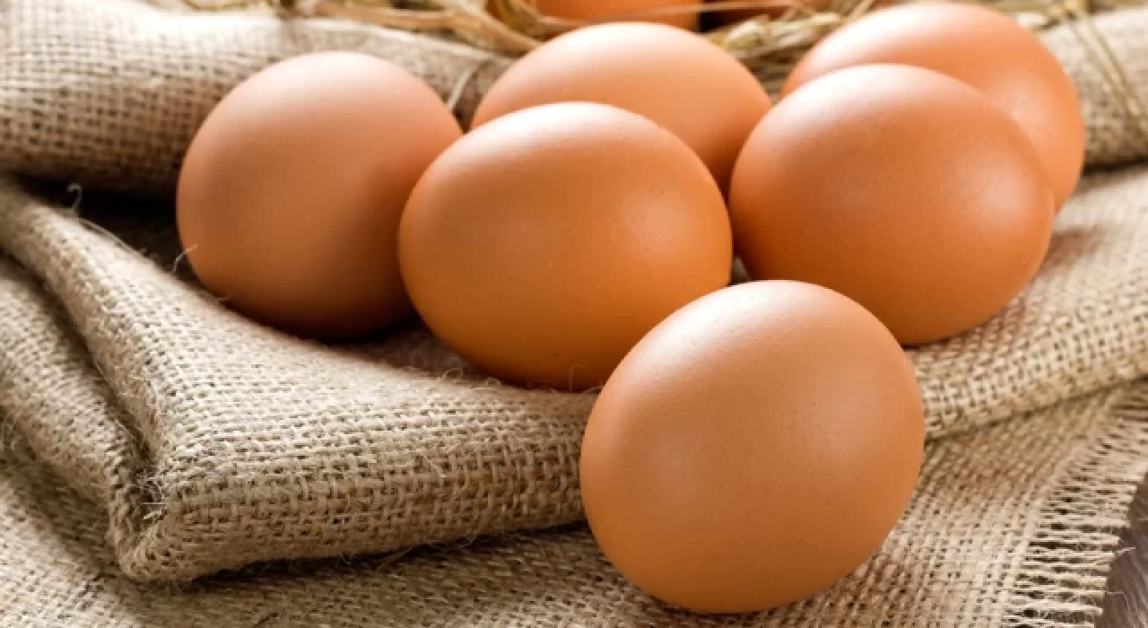 Tavuk yumurtası üretimi şubat ayında yüzde 7 azaldı