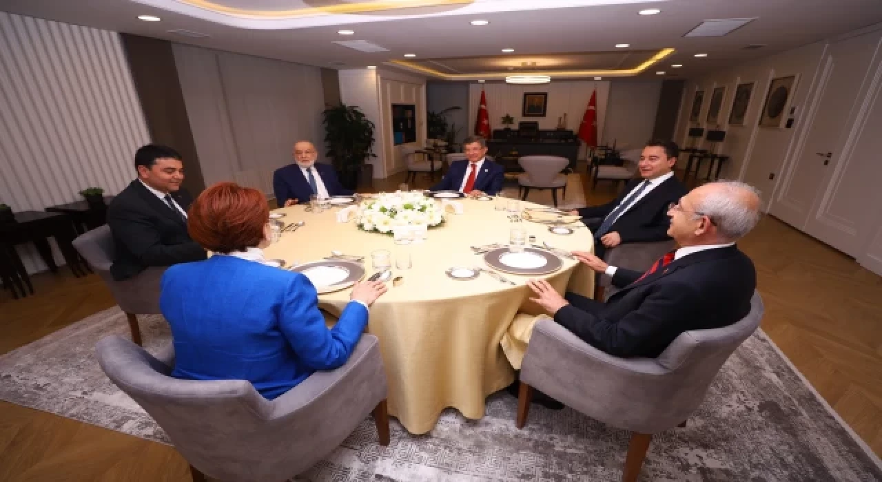 Altı muhalefet partisinin temel ilkeler ve hedefler açıklaması: