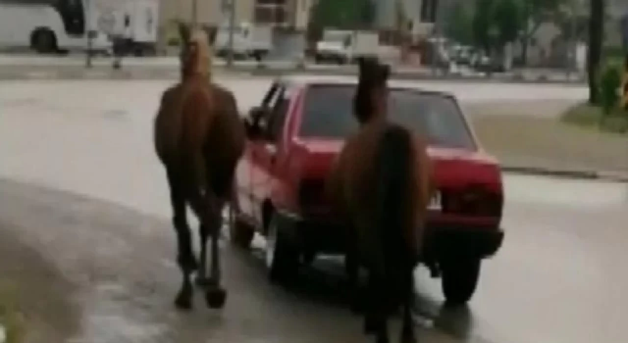 Aracına iple bağladığı 2 atı otomobille çeken sürücüye ceza