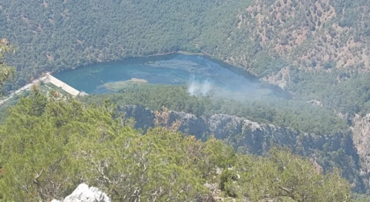 Mersin ve Muğla'da orman yangınları