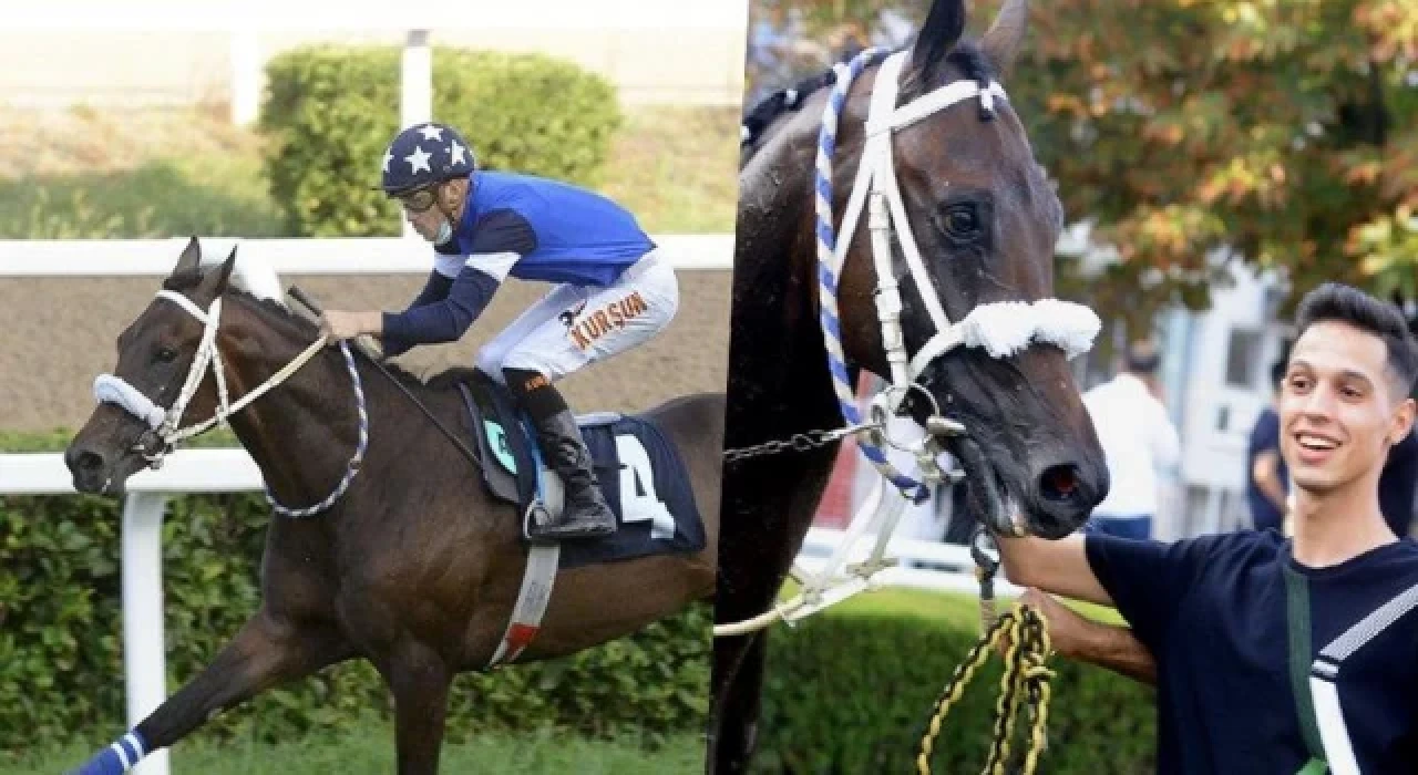 Gazi Koşusu'nda sakatlanan "Dollar Man" uyutuldu