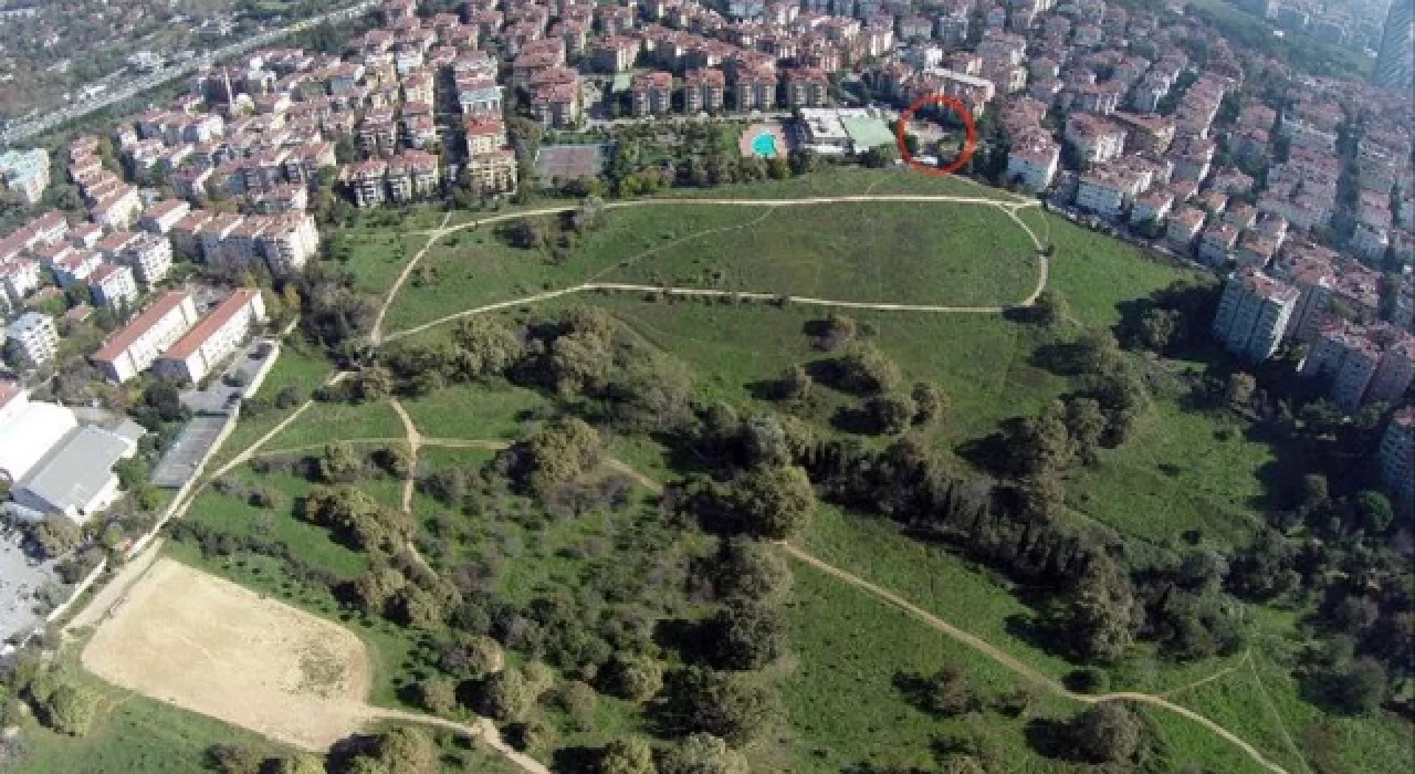 İBB'den Üsküdar Belediyesi'ne Validebağ Korusu için 270 bin lira ceza