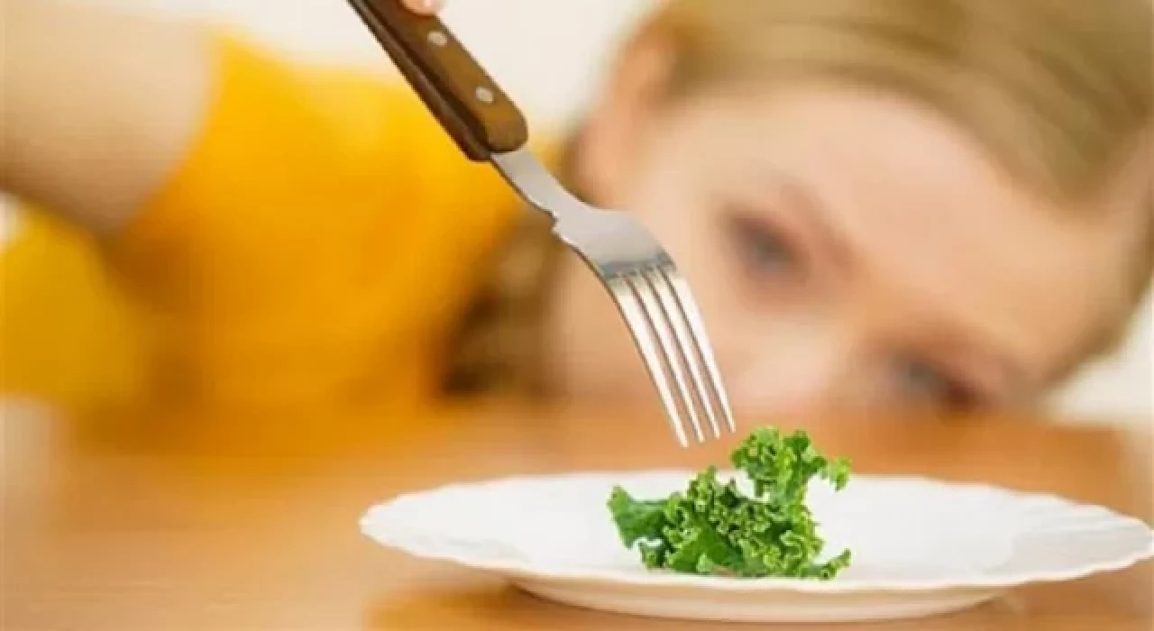 Sağlıklı Beslenme Tutkusu Takıntıya Dönüşmesin