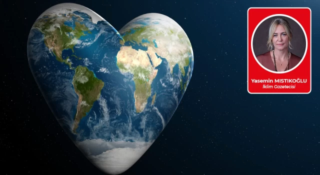 İklim Gazetecisi Yasemin Mıstıkoğlu artık Muhalif. de!