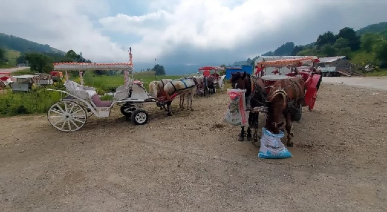 Abant Milli Parkı’nda faytona yasak