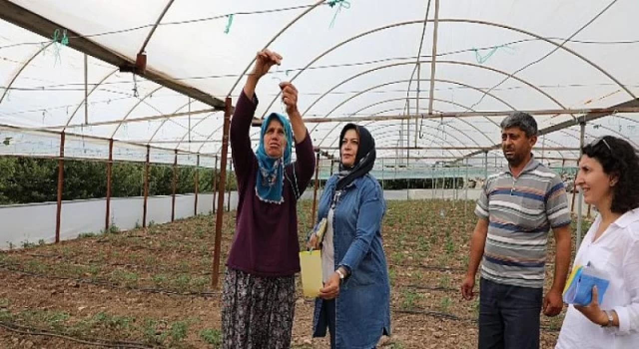 Antalya Büyükşehir’den üreticilere ücretsiz yapışkan tuzak