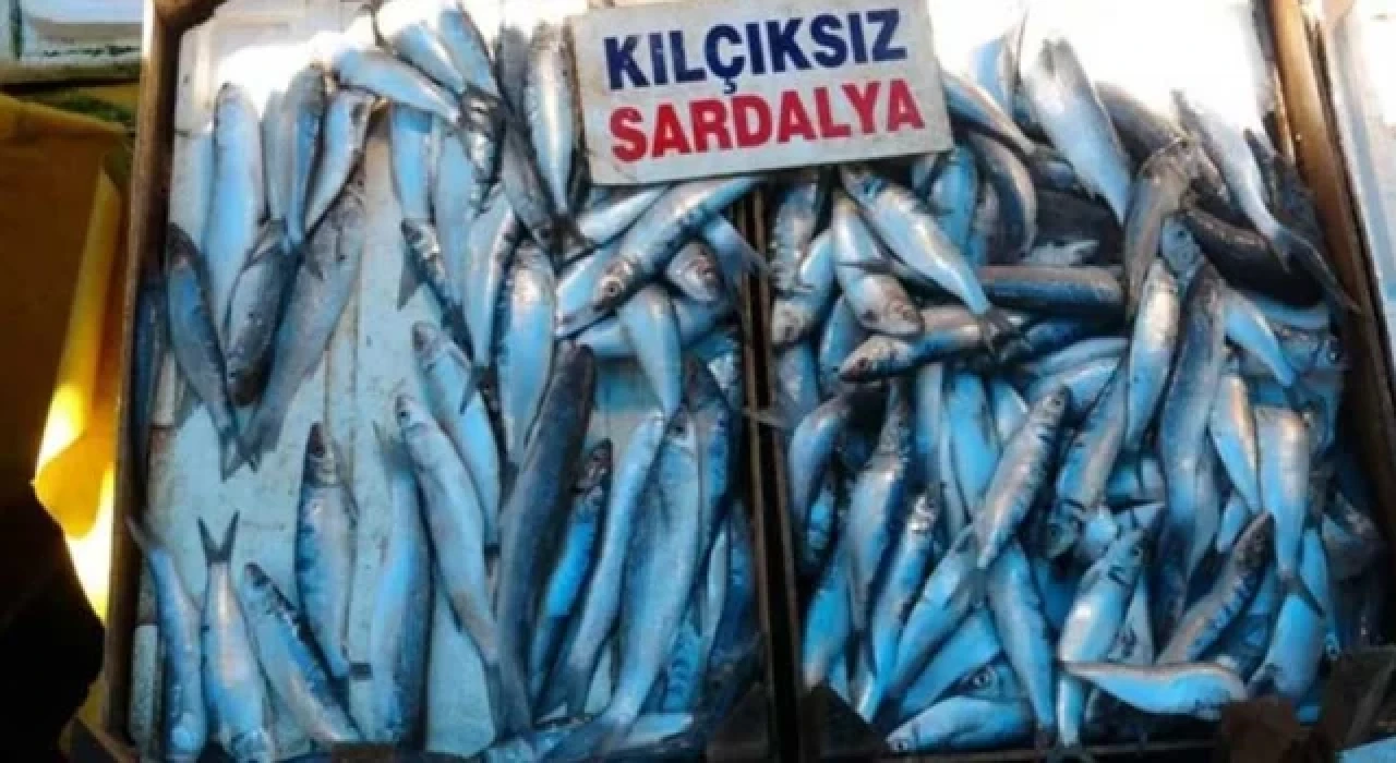 Av yasağı sonrası tezgahlar boş kaldı; sardalyaya ilgi arttı