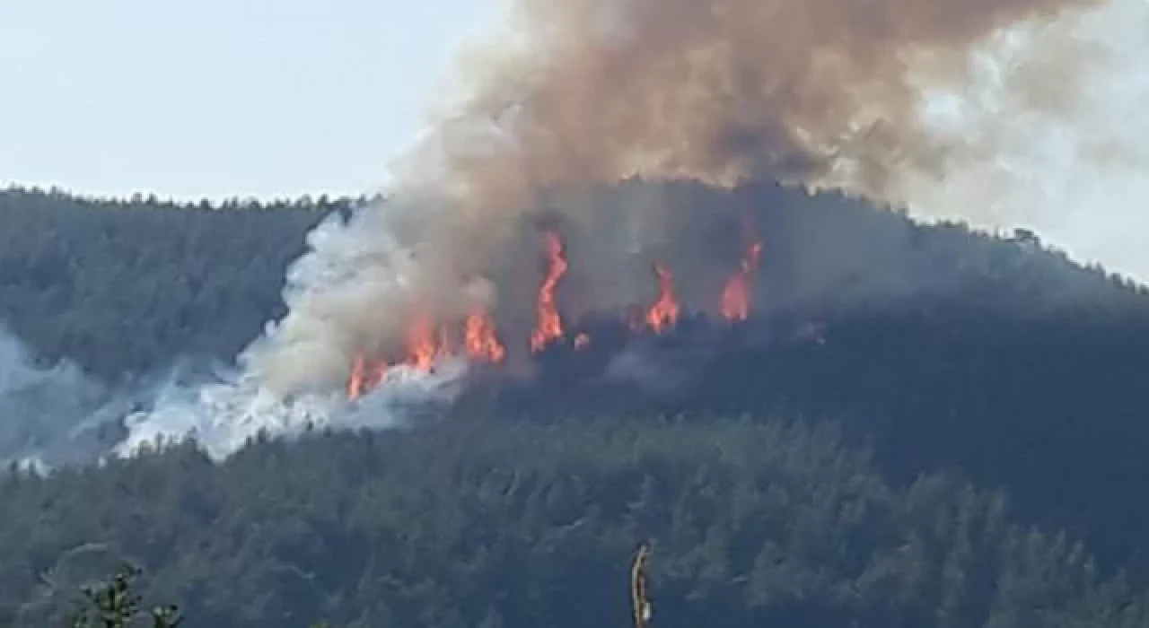Burdur’da orman yangını