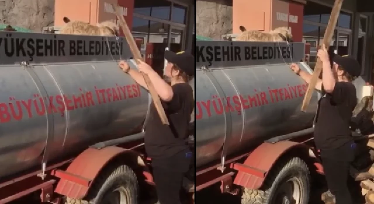 Bursa’da hayvana şiddet: Köpeği bağladı, çivili sopa ile dövdü!