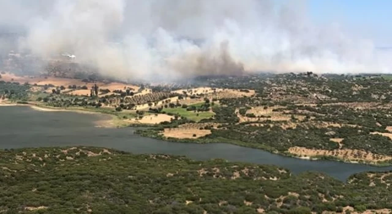 Çanakkale'de orman yangını: Bölgede şiddetli rüzgar etkili