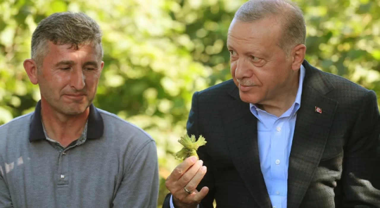 Fındık alım fiyatı açıklandı!