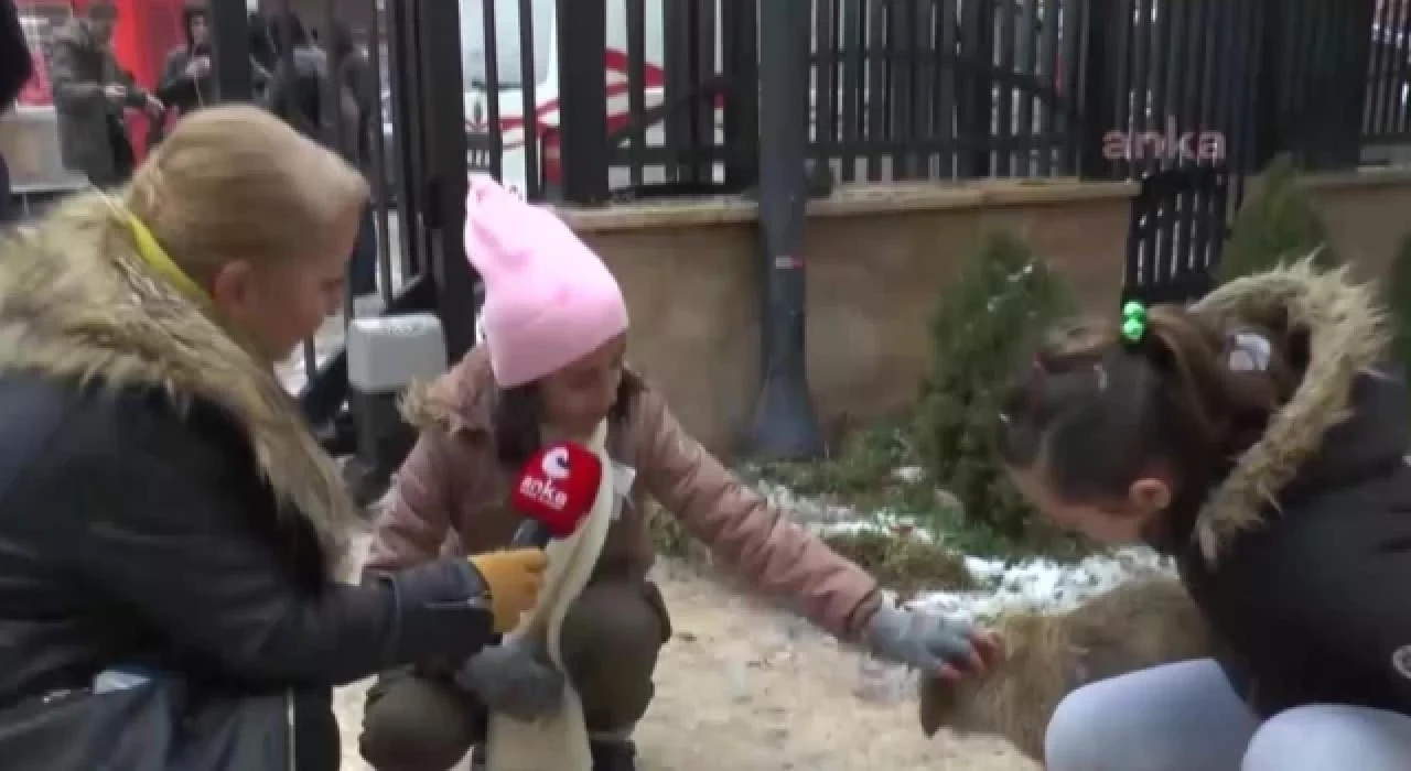 Gazeteci Mehtap Belen yaşamını yitirdi