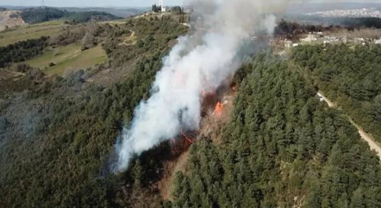 İstanbul Beykoz'daki orman yangını söndürüldü