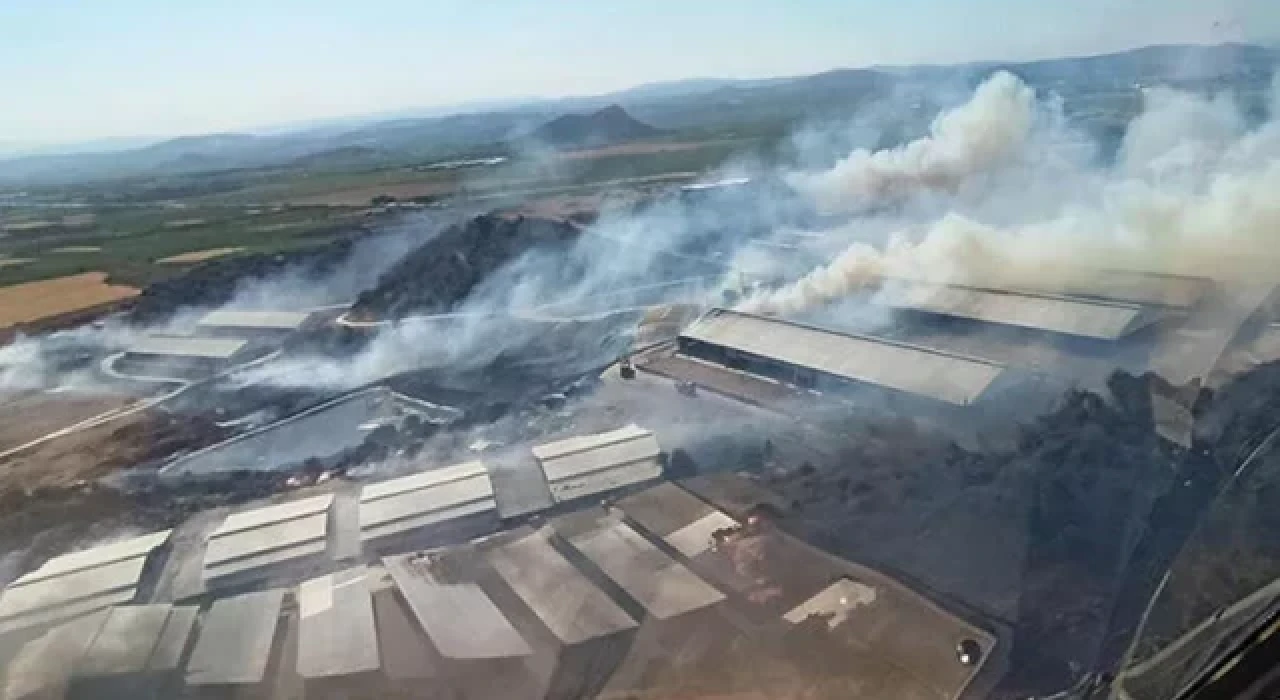 İzmir Bergama'da makilik yangını çıktı