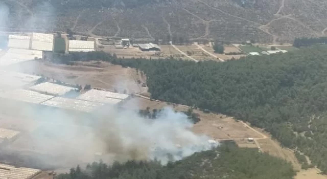 İzmir’deki orman yangını kontrol altına alındı