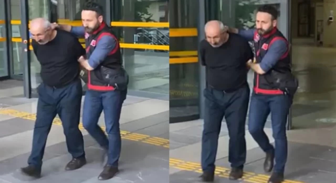 Köpek besleme cinayetinin arkasında çok farklı nedenler yatıyormuş