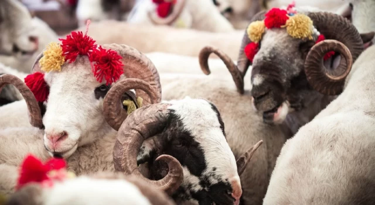 Kurban eti uyarısı; hemen tüketmeyin, öğle yemeklerinde yiyin